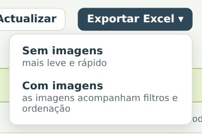 Exportar Excel
